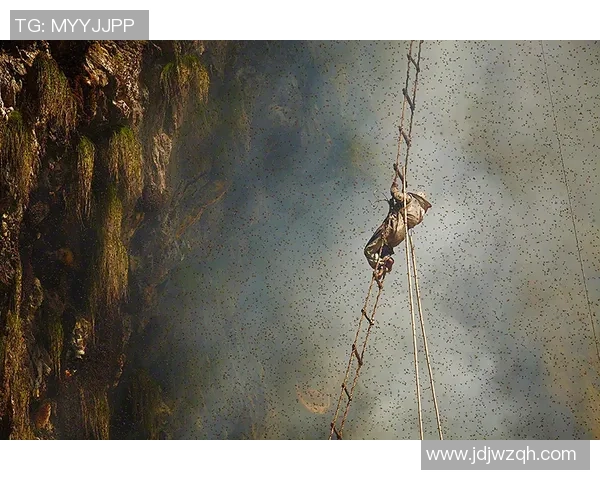 重庆攀岩队全方位提升与创新探索推动竞技水平再上新台阶